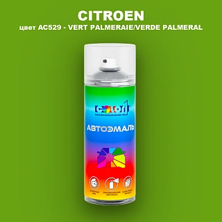 Аэрозольная краска CITROEN, цвет AC529 - VERT PALMERAIE/VERDE PALMERAL