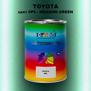 Автомобильная краска TOYOTA, цвет 6P6 - MEADOW GREEN