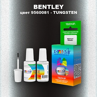 Краска для сколов во флаконе с кисточкой BENTLEY, цвет 9560081 - TUNGSTEN