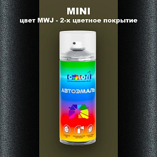 Аэрозольная краска MINI, цвет MWJ - 2-х цветное покрытие