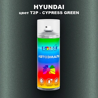 Аэрозольная краска HYUNDAI, цвет T2P - CYPRESS GREEN