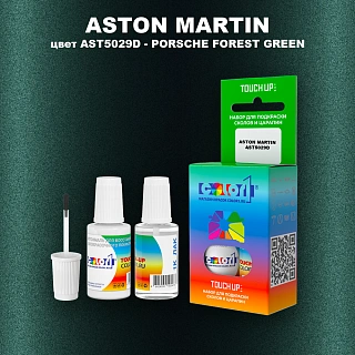 Краска для сколов во флаконе с кисточкой ASTON MARTIN, цвет AST5029D - PORSCHE FOREST GREEN
