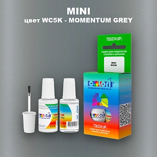 Краска для сколов во флаконе с кисточкой MINI, цвет WC5K - MOMENTUM GREY