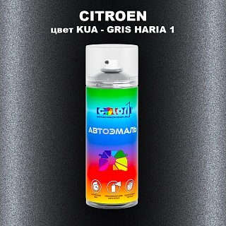 Аэрозольная краска CITROEN, цвет KUA - GRIS HARIA 1