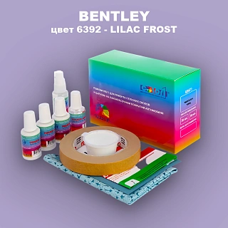 Ремкомплект для ремонта глубоких сколов и царапин BENTLEY, цвет 6392 - LILAC FROST