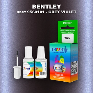 Краска для сколов во флаконе с кисточкой BENTLEY, цвет 9560101 - GREY VIOLET