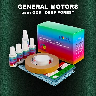 Ремкомплект для ремонта глубоких сколов и царапин GM, цвет GX6 - DEEPFOREST