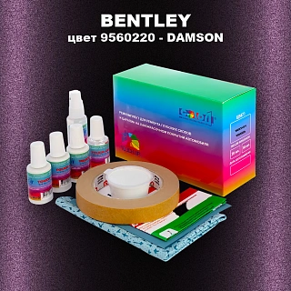 Ремкомплект для ремонта глубоких сколов и царапин BENTLEY, цвет 9560220 - DAMSON