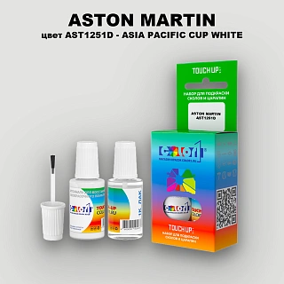Краска для сколов во флаконе с кисточкой ASTON MARTIN, цвет AST1251D - ASIA PACIFIC CUP WHITE
