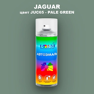 Аэрозольная краска JAGUAR, цвет JUC65 - PALE GREEN