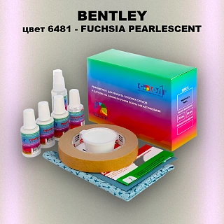 Ремкомплект для ремонта глубоких сколов и царапин BENTLEY, цвет 6481 - FUCHSIA PEARLESCENT
