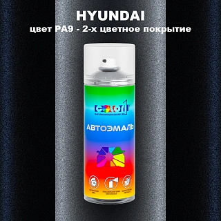 Аэрозольная краска HYUNDAI, цвет PA9 - 2-х цветное покрытие