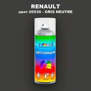 Аэрозольная краска RENAULT, цвет 20530 - GRIS NEUTRE