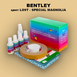 Ремкомплект для ремонта глубоких сколов и царапин BENTLEY, цвет LO9T - SPECIAL MAGNOLIA