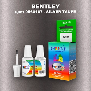 Краска для сколов во флаконе с кисточкой BENTLEY, цвет 9560167 - SILVER TAUPE