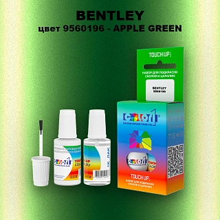 Краска для сколов во флаконе с кисточкой BENTLEY, цвет 9560196 - APPLE GREEN