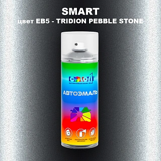 Аэрозольная краска SMART, цвет EB5 - TRIDION PEBBLE STONE