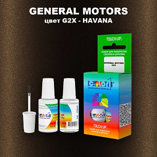 Краска для сколов во флаконе с кисточкой GM, цвет  G2X - HAVANA
