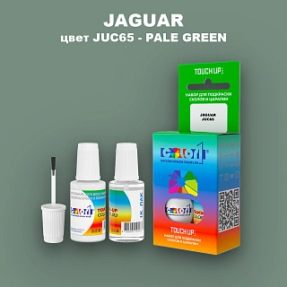 Краска для сколов во флаконе с кисточкой JAGUAR, цвет JUC65 - PALE GREEN