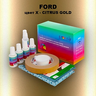 Ремкомплект для ремонта глубоких сколов и царапин FORD, цвет X - CITRUS GOLD