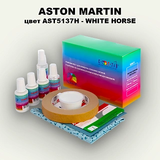 Ремкомплект для ремонта глубоких сколов и царапин ASTON MARTIN, цвет AST5137H - WHITE HORSE