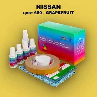 Ремкомплект для ремонта глубоких сколов и царапин NISSAN, цвет 650 - GRAPEFRUIT