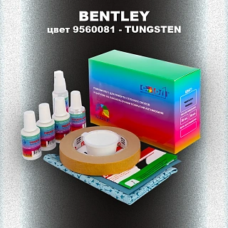 Ремкомплект для ремонта глубоких сколов и царапин BENTLEY, цвет 9560081 - TUNGSTEN