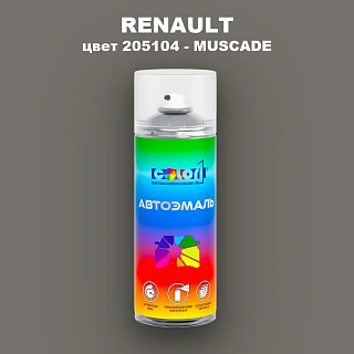 Аэрозольная краска RENAULT, цвет 205104 - MUSCADE