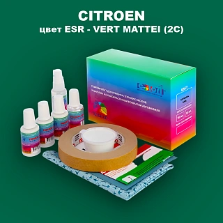 Ремкомплект для ремонта глубоких сколов и царапин CITROEN, цвет ESR - VERT MATTEI (2C)
