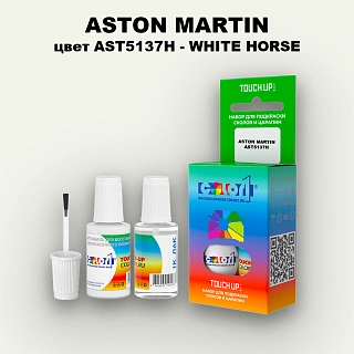 Краска для сколов во флаконе с кисточкой ASTON MARTIN, цвет AST5137H - WHITE HORSE