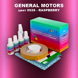 Ремкомплект для ремонта глубоких сколов и царапин GM, цвет 9928 - RASPBERRY