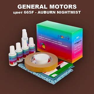 Ремкомплект для ремонта глубоких сколов и царапин GM, цвет 665F - AUBURNNIGHTMIST