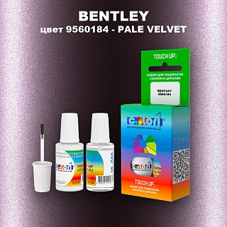 Краска для сколов во флаконе с кисточкой BENTLEY, цвет 9560184 - PALE VELVET