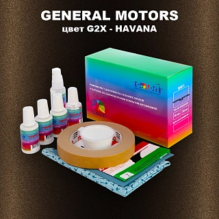 Ремкомплект для ремонта глубоких сколов и царапин GM, цвет G2X - HAVANA