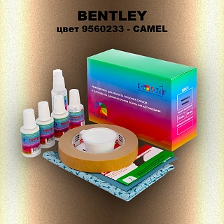 Ремкомплект для ремонта глубоких сколов и царапин BENTLEY, цвет 9560233 - CAMEL