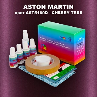Ремкомплект для ремонта глубоких сколов и царапин ASTON MARTIN, цвет AST5160D - CHERRY TREE
