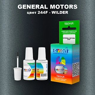 Краска для сколов во флаконе с кисточкой GENERAL MOTORS, цвет 244F - WILDER