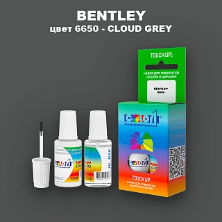 Краска для сколов во флаконе с кисточкой BENTLEY, цвет 6650 - CLOUD GREY