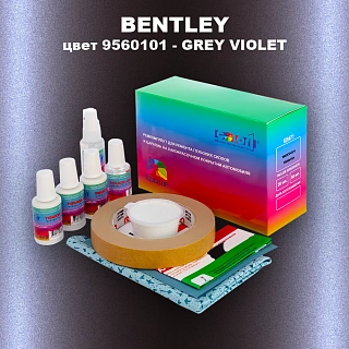 Ремкомплект для ремонта глубоких сколов и царапин BENTLEY, цвет 9560101 - GREY VIOLET