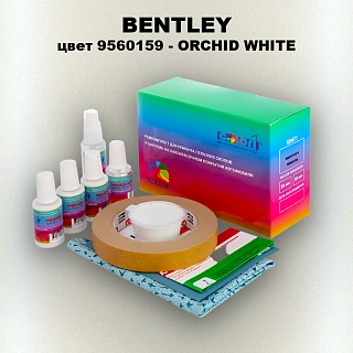Ремкомплект для ремонта глубоких сколов и царапин BENTLEY, цвет 9560159 - ORCHID WHITE