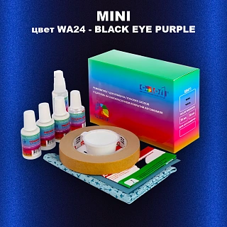 Ремкомплект для ремонта глубоких сколов и царапин MINI, цвет WA24 - BLACK EYE PURPLE