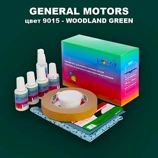 Ремкомплект для ремонта глубоких сколов и царапин GM, цвет 9015 - WOODLANDGREEN