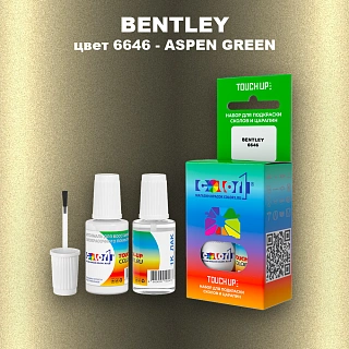 Краска для сколов во флаконе с кисточкой BENTLEY, цвет 6646 - ASPEN GREEN