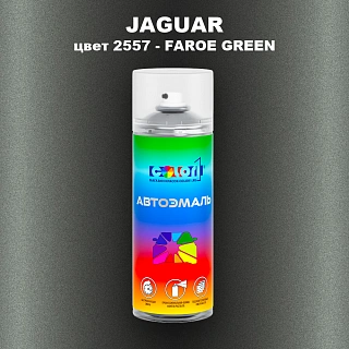 Аэрозольная краска JAGUAR, цвет 2557 - FAROE GREEN