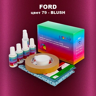 Ремкомплект для ремонта глубоких сколов и царапин FORD, цвет 79 - BLUSH