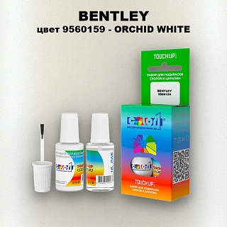 Краска для сколов во флаконе с кисточкой BENTLEY, цвет 9560159 - ORCHID WHITE