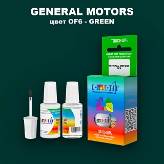 Краска для сколов во флаконе с кисточкой GM, цвет  OF6 - GREEN