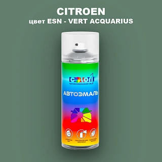 Аэрозольная краска CITROEN, цвет ESN - VERT ACQUARIUS