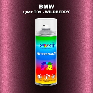 Аэрозольная краска BMW, цвет T09 - WILDBERRY