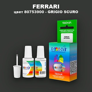 Краска для сколов во флаконе с кисточкой FERRARI, цвет 80753900 - GRIGIO SCURO